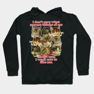 Cat Lover Retro Kitty Design Hoodie